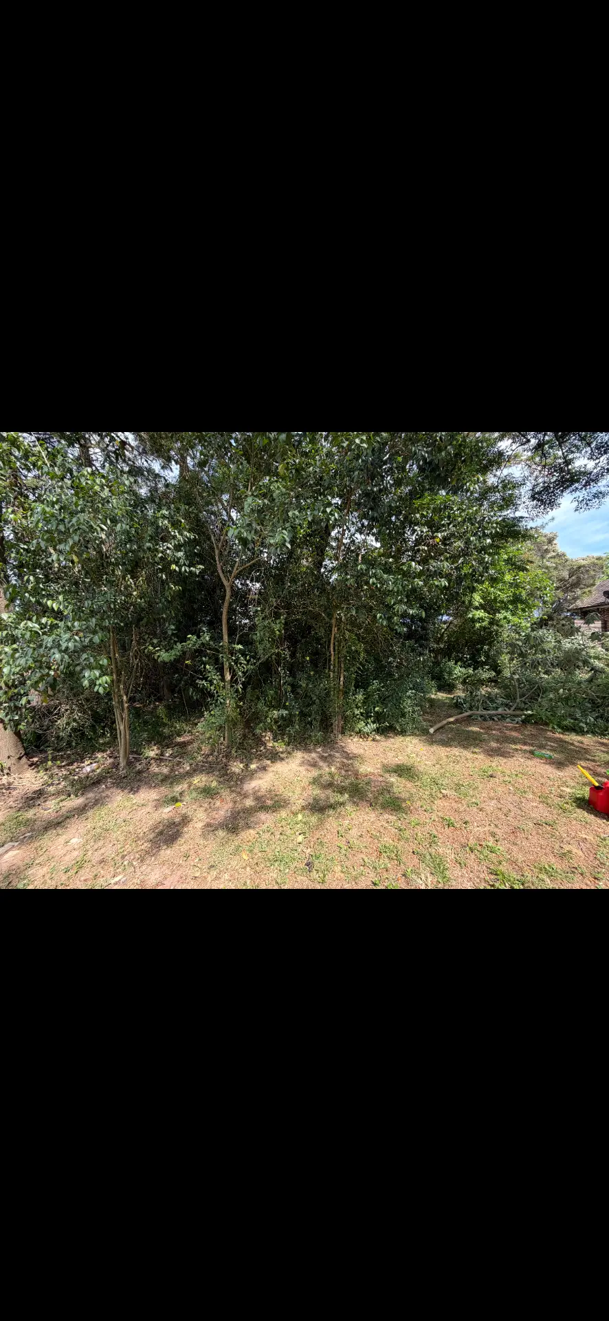 Bushland block cleared and slashed with cut branches stacked to one side