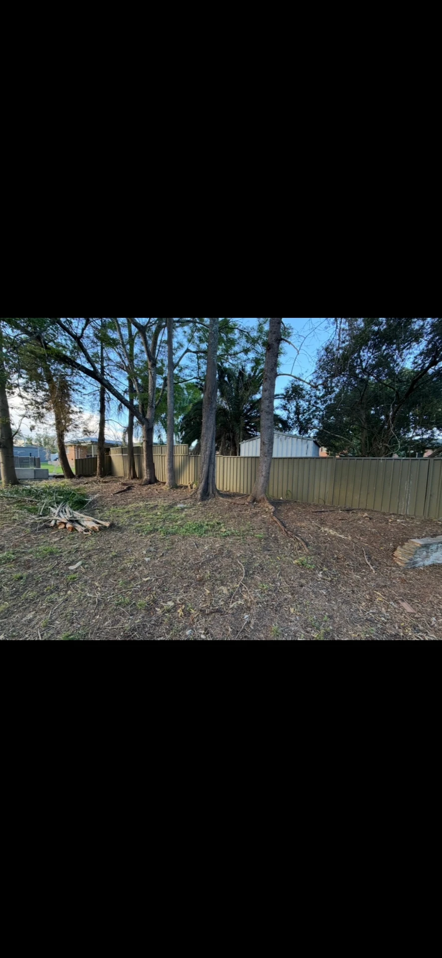Backyard tree line cleared and raked back with firewood stacked by the fence