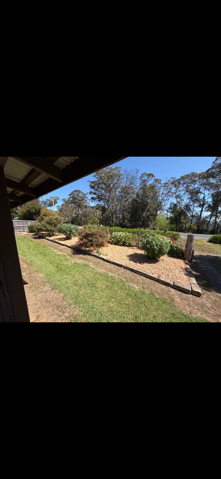 Freshly mulched front garden bed with flowering shrubs beside a mown lawn