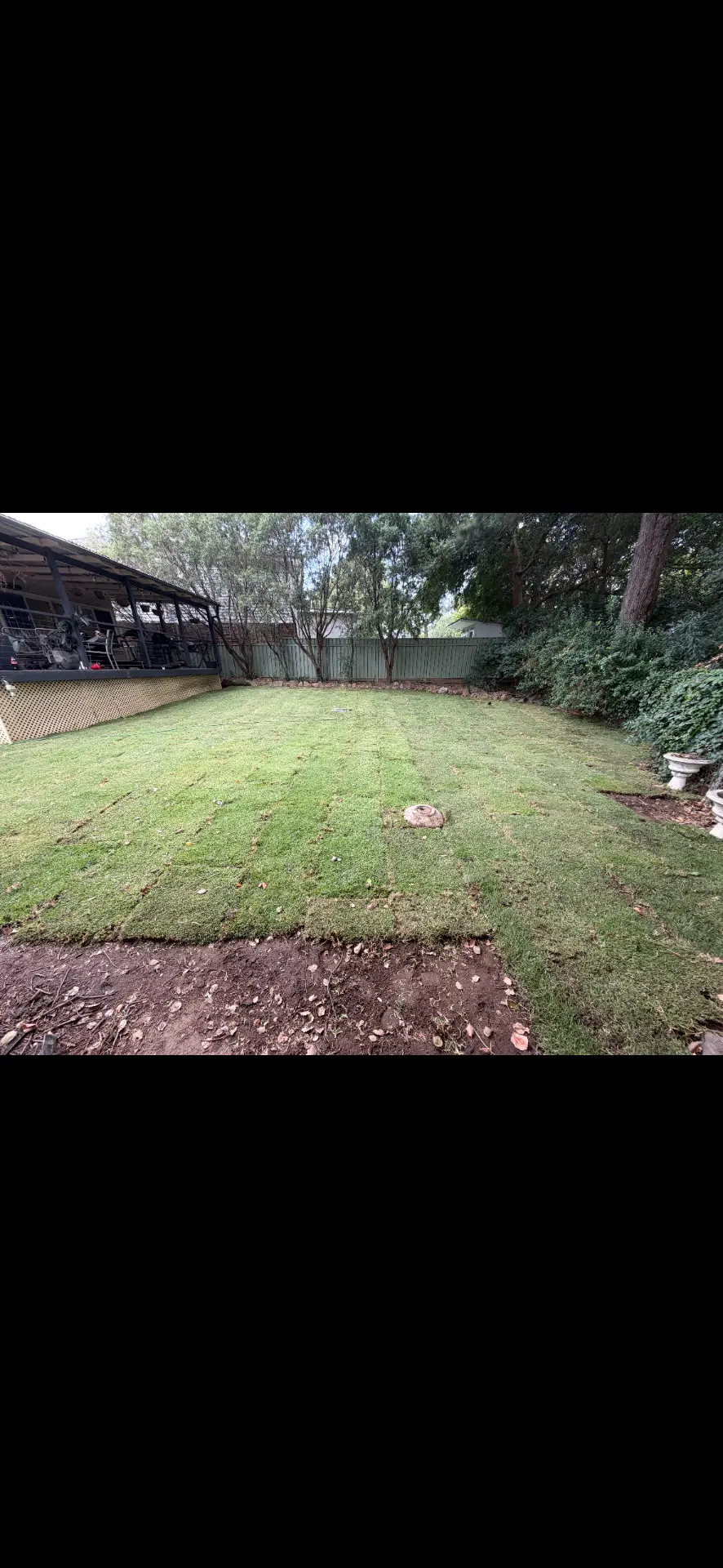 New turf freshly laid across a levelled backyard beside a pergola