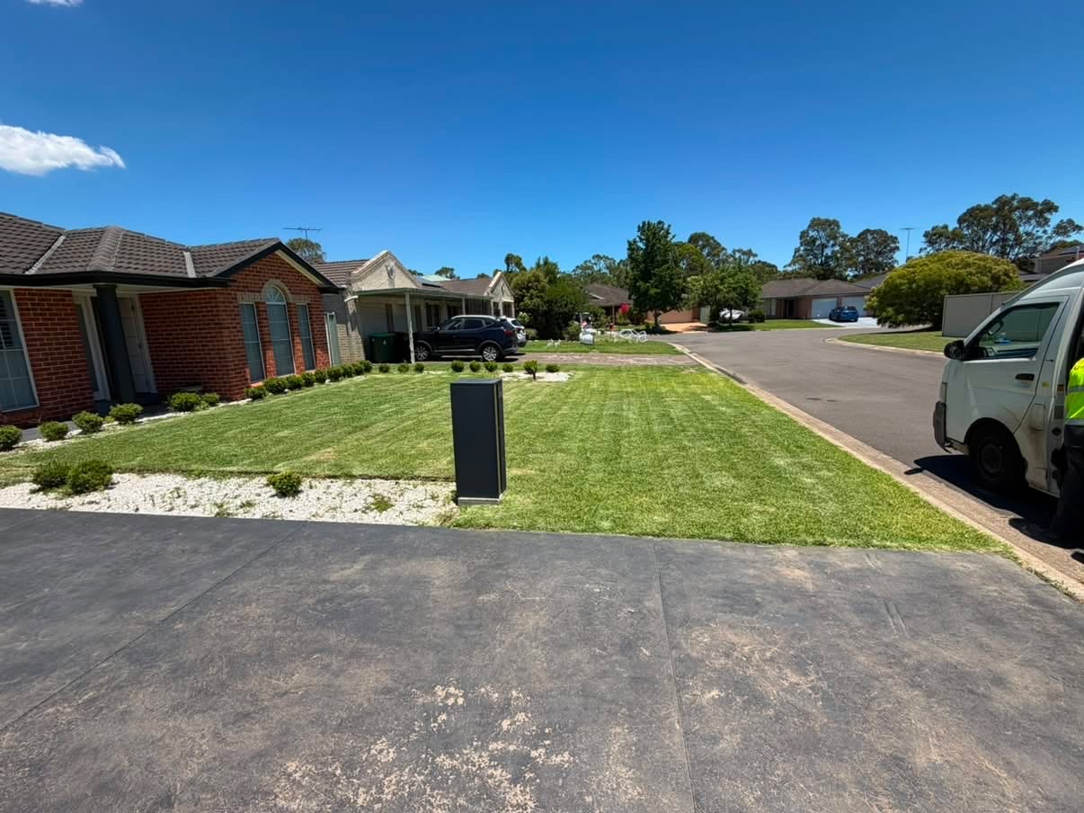 Freshly maintained residential lawn and garden bed along a paved driveway in Western Sydney
